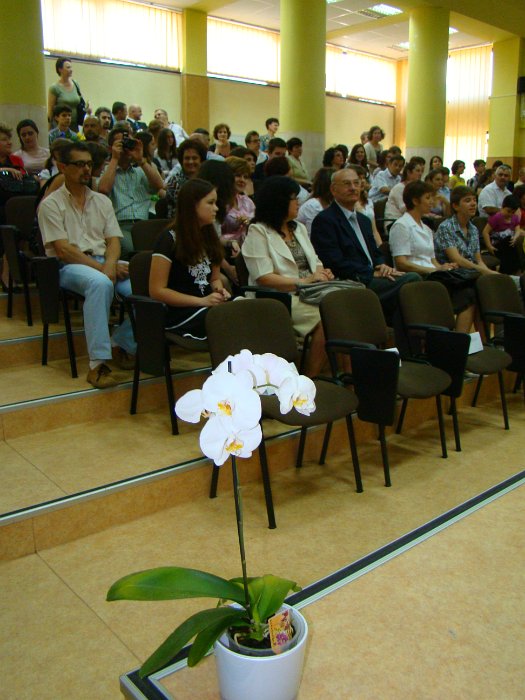 DSC01554