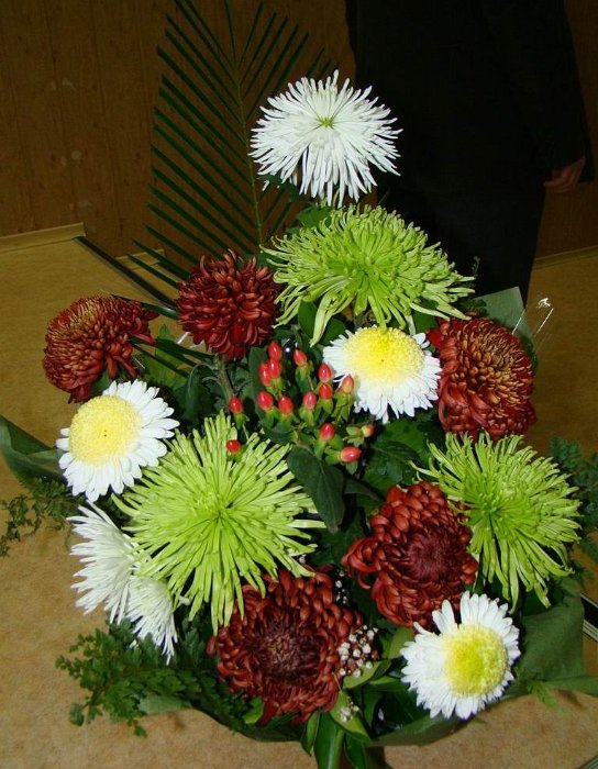 DSC01338