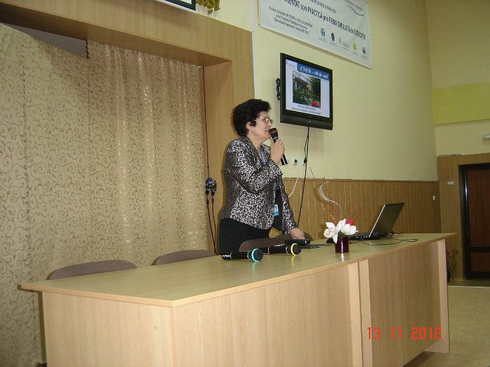 DSC06885