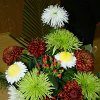 DSC01338